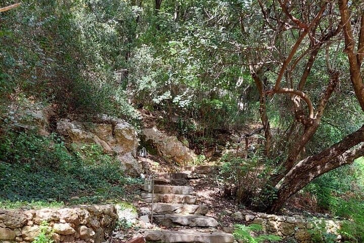 Half-Day Orthodox Gorge Walk: Monastery, Manousakis Winery & Agia Lake near Chania photo 4