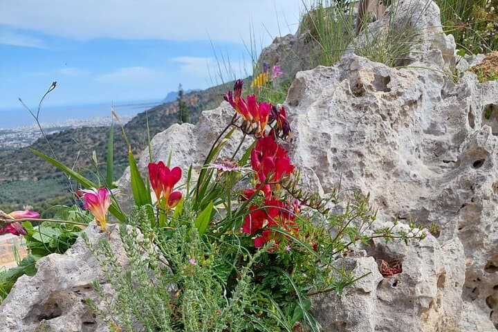 Half-Day Orthodox Gorge Walk: Monastery, Manousakis Winery & Agia Lake near Chania photo 2