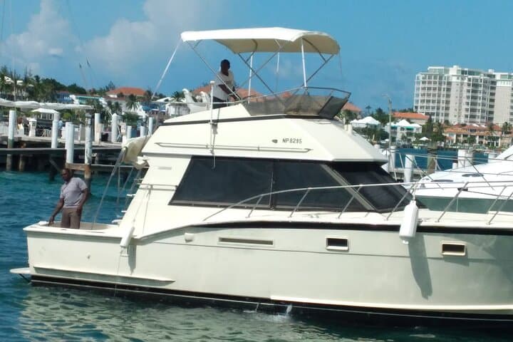 Bahamas Deep Sea Fishing: Nassau Charters for Wahoo, Tuna & Reef Catches