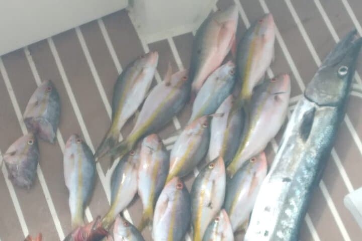 Bahamas Deep Sea Fishing: Nassau Charters for Wahoo, Tuna & Reef Catches photo 3
