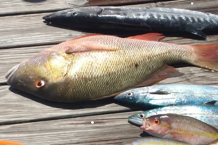 Bahamas Deep Sea Fishing: Nassau Charters for Wahoo, Tuna & Reef Catches photo 4