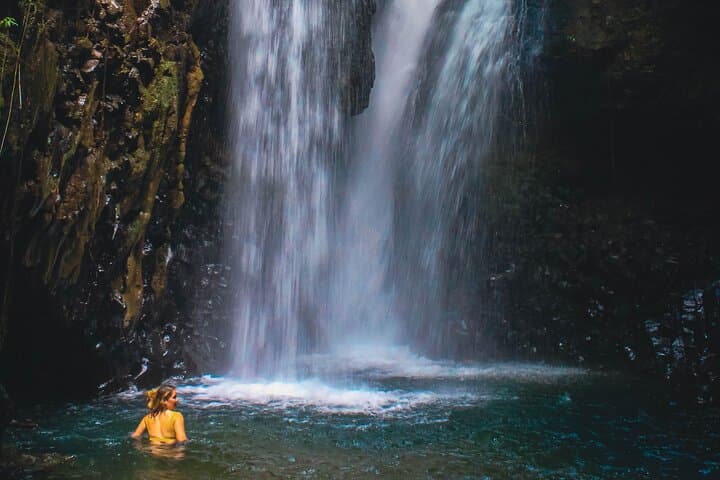 Bedugul and Singaraja: North Coast Bali Day Tour to Lake Bratan & Gitgit photo 3