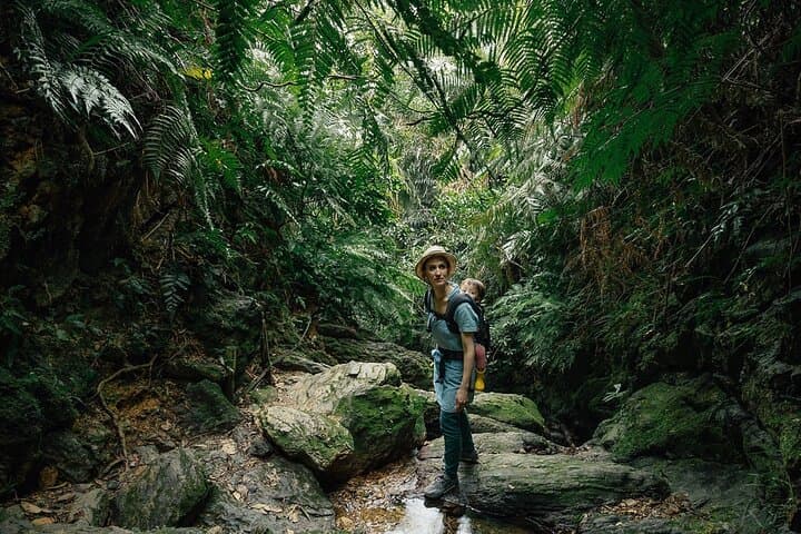 Sunset Jeep & Jungle Hike on Koh Samui: Waterfalls, Big Buddha & Secret Sunset Ridge photo 6