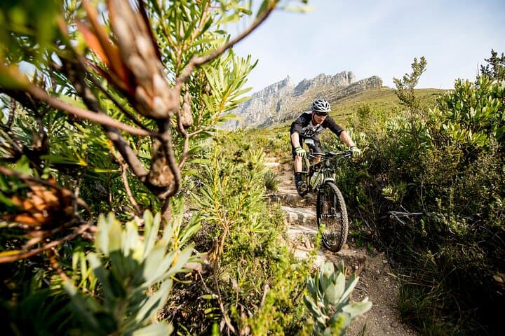 Ride Cape Town's Best MTB Singletrack on a Private E‑Bike Tour photo 2