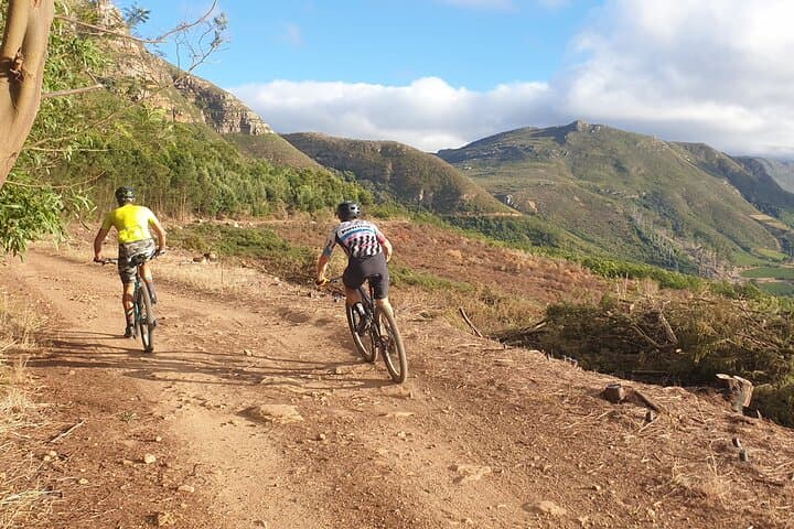 Ride Cape Town's Best MTB Singletrack on a Private E‑Bike Tour photo 4
