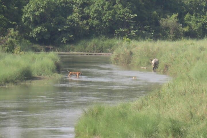 Bardia National Park 3-Night Jungle Safari: Tigers, Rhinos & Tharu Culture