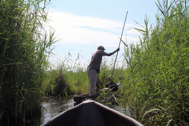 7-Day Moremi & Okavango Delta Safari: Mokoro, Game Drives & Savuti Rock Art photo 2
