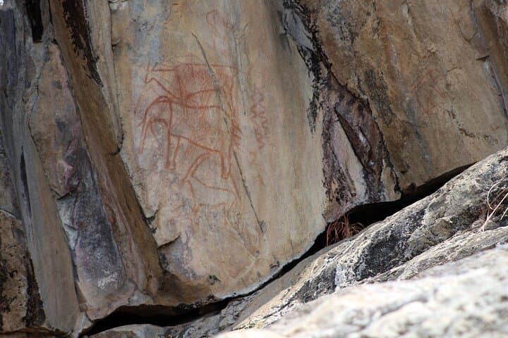 7-Day Moremi & Okavango Delta Safari: Mokoro, Game Drives & Savuti Rock Art photo 3