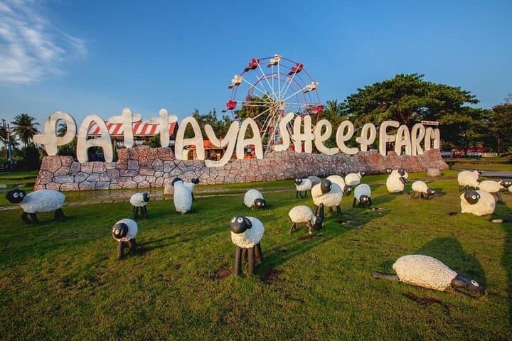 Pattaya Sheep Farm: Family-Friendly Swiss Farm Experience Near Pattaya Beach