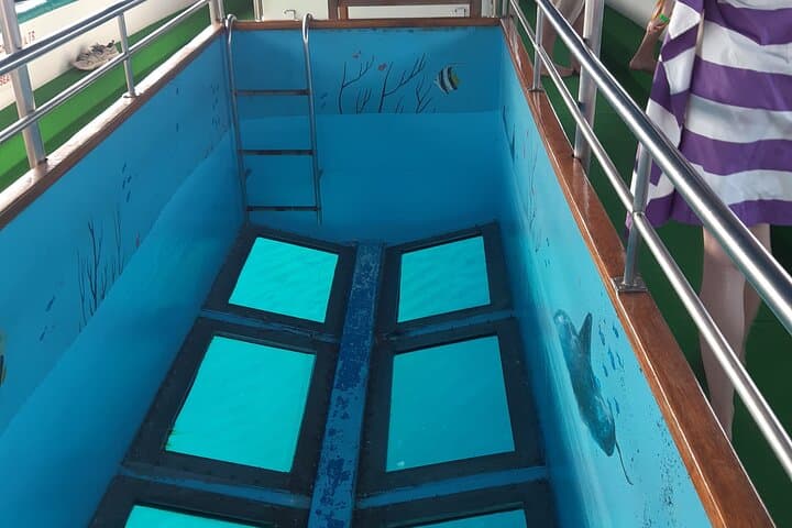 Paphos Glass-Bottom Cruise: 90-Minute Coastal Reef & Swim Experience photo 2