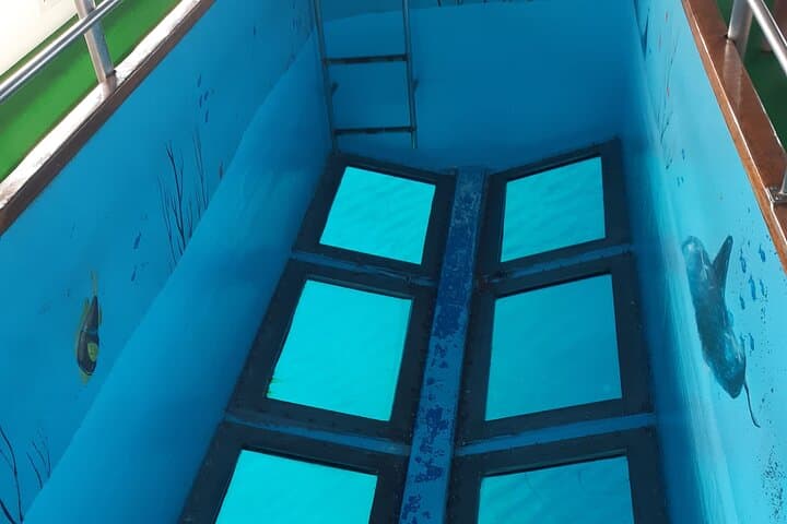 Paphos Glass-Bottom Boat: Snorkel, Slide and Spot Sea Turtles on a 2.5-Hour Cruise photo 4