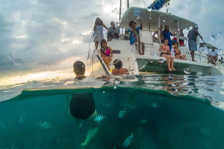 Private Catamaran Cruise to Île aux Bénitiers — Dolphins, Snorkel & BBQ photo 3