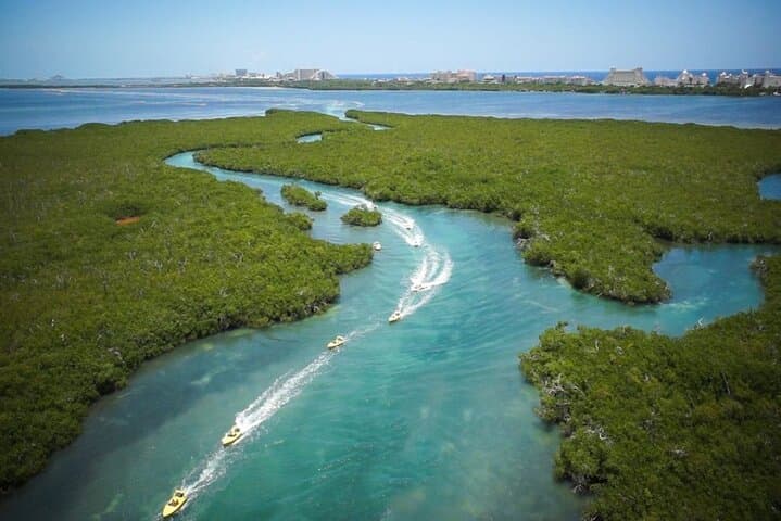 Mangrove Jungle Speedboat Tour to Punta Nizuc Reef photo 2