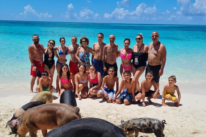 Half-Day Boat Tour to Rose & Athol Islands: Snorkel Reefs, Turtles, and Swimming Pigs