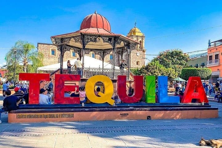 Full-Day Tequila Town Tour from Guadalajara: Distilleries, Agave Plains & Castillo