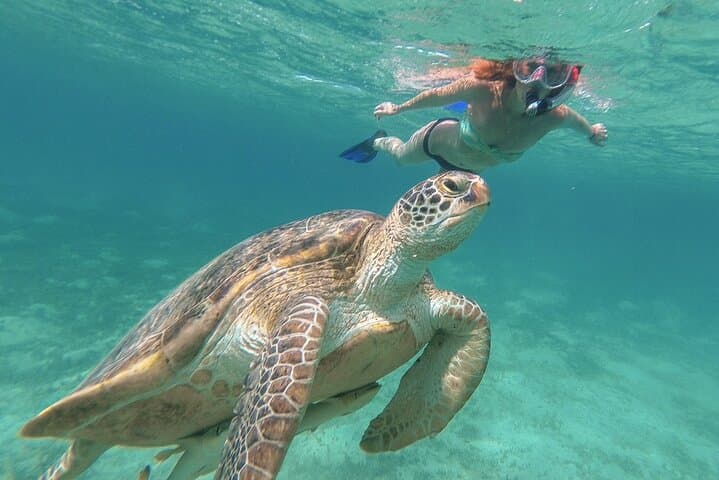 Snorkel with Turtles at Green Cay: Half-Day Excursion from Nassau