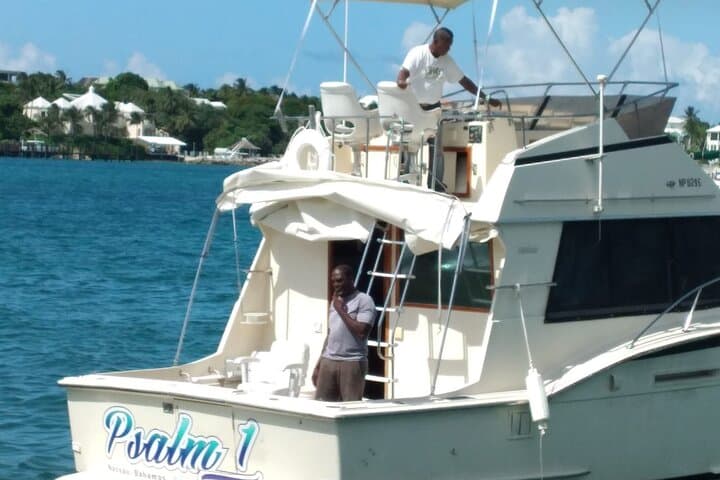 Snorkel with Turtles at Green Cay: Half-Day Excursion from Nassau photo 5