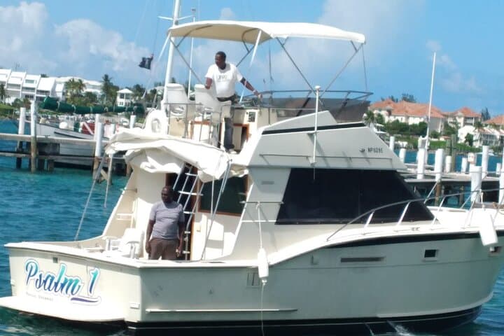 Snorkel with Turtles at Green Cay: Half-Day Excursion from Nassau photo 6