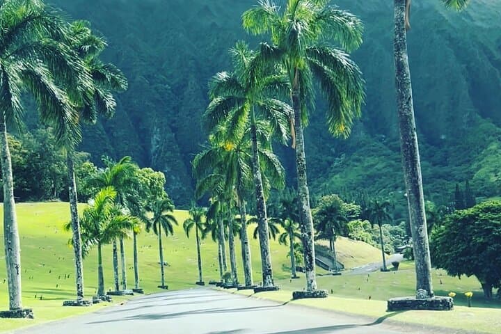Full-Day Circle Island Tour of Oahu — North Shore Turtles, Coffee Farms & Local Eats photo 5