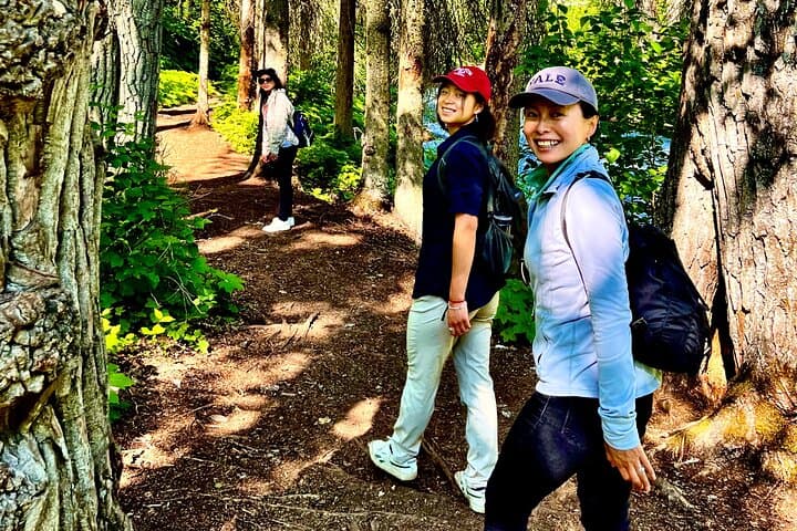Ride & Roam Mystery Sightseeing Tour — Anchorage Hidden Glacier Views & Waterfalls photo 3
