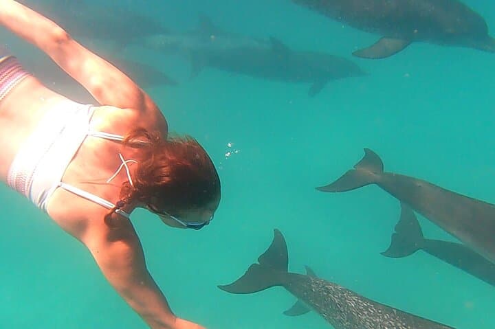 Custom Bimini Charter: Private Yacht, Snorkeling & Beach Dining with Photographer photo 5