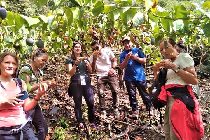 Inca Jungle Trail: 3-Day Machu Picchu Adventure with Domes, Coffee & Zipline photo 3