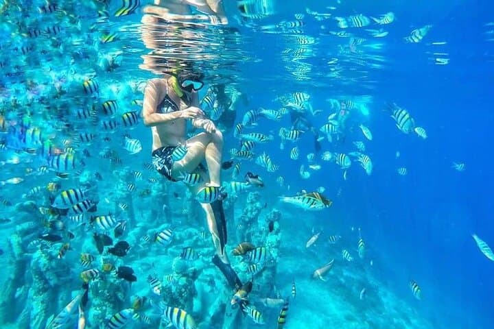 Private Half-Day Snorkel: Turtles & Underwater Statues, Gili Islands