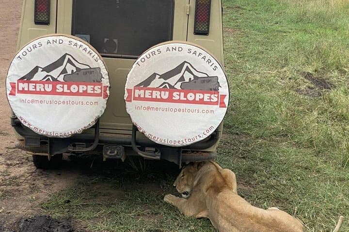 Five-Day Camping Safari: Tarangire, Serengeti & Ngorongoro with Maasai Visit photo 2