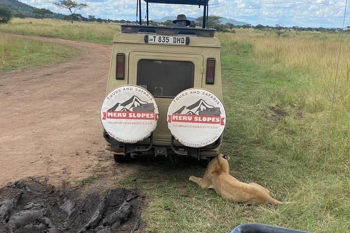 Five-Day Camping Safari: Tarangire, Serengeti & Ngorongoro with Maasai Visit photo 4