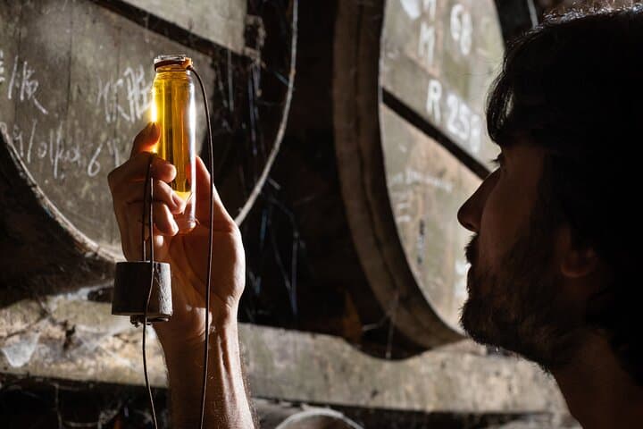 Bourgoin Cognac Tasting: Inside an Organic Winemaker’s Cellar Near Angoulême photo 3