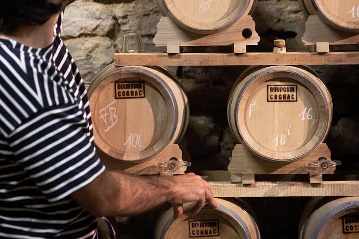 Bourgoin Cognac Tasting: Inside an Organic Winemaker’s Cellar Near Angoulême photo 4