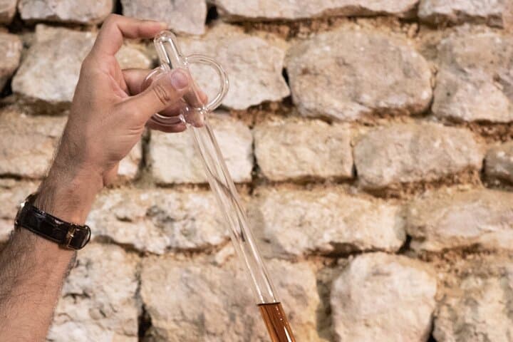 Bourgoin Cognac Tasting: Inside an Organic Winemaker’s Cellar Near Angoulême photo 5