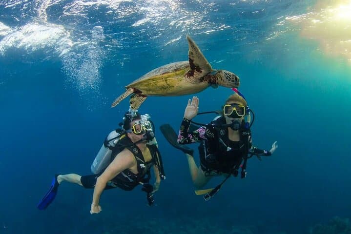 Best of Jordan: 8-Day Private Tour from Amman to Aqaba photo 6