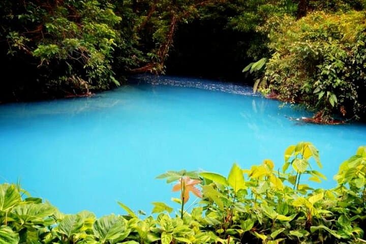 Rio Celeste Tubing & Waterfall Hike: Private Day Trip from Tamarindo photo 4