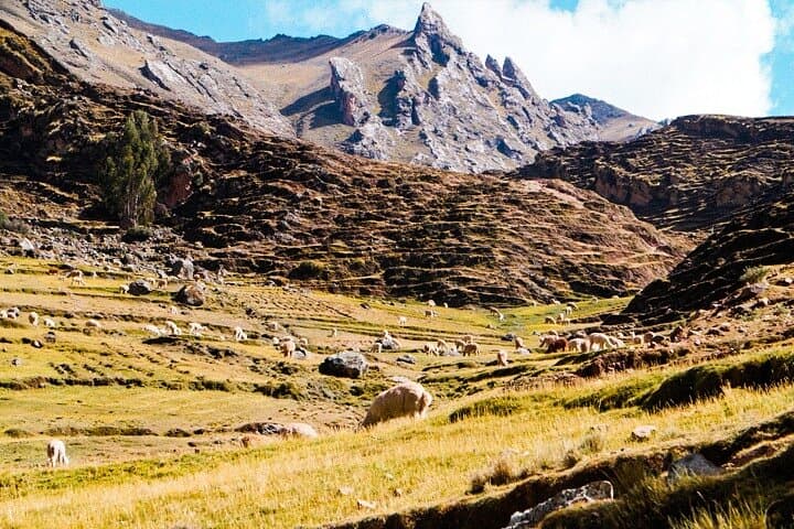 Hike Palcoyo: 1-Day 7-Color Mountain Tour from Cusco photo 5