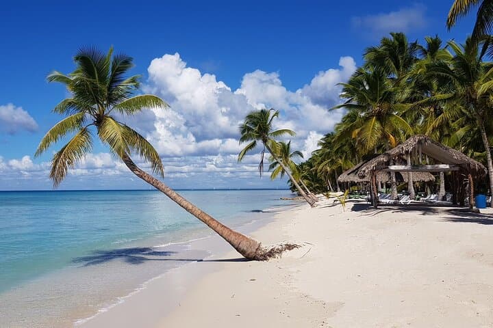 Full-Day Saona Island Tour from Samana: Speedboat Out, Catamaran Return & Natural Pool
