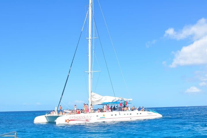 Saona Island Full-Day Tour from Las Terrenas — Catamaran, Natural Pools & Lunch photo 5