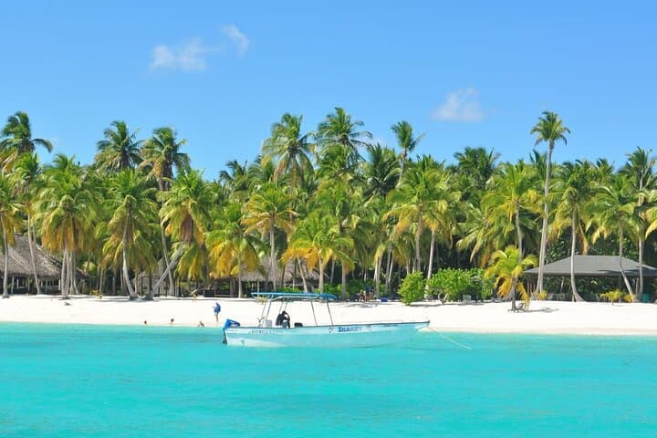 Full-Day Saona Island Tour from Samana: Speedboat Out, Catamaran Return & Natural Pool photo 6