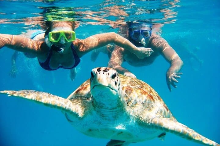 Snorkeling with Sea Turtles at Green Cay (Turtle Island) — Nassau Day Trip photo 1