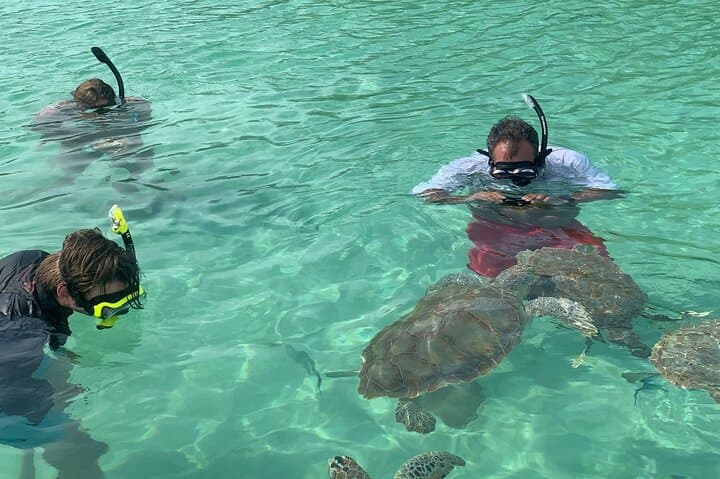 Snorkeling with Sea Turtles at Green Cay (Turtle Island) — Nassau Day Trip photo 2