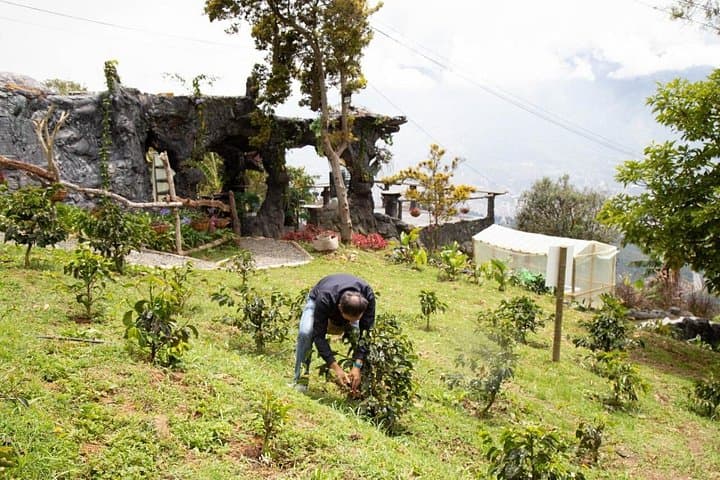 Glamping Coffee Spa Near Medellín: Two-Day Arví Coffee Camp & Wellness photo 2