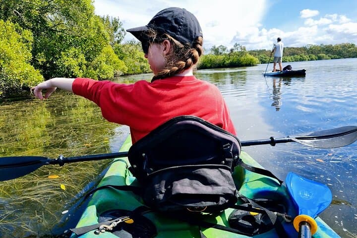 Paddling the Noosa Everglades: Stingrays, Sandbars & Lake Weyba
