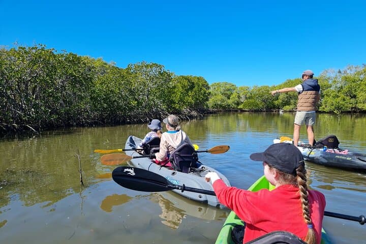 Paddling the Noosa Everglades: Stingrays, Sandbars & Lake Weyba photo 6