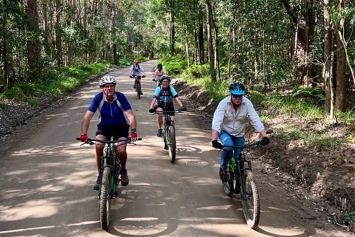 Noosa Biosphere Trail eBike Tour — Scenic Noosa Hinterland eMTB Ride photo 6