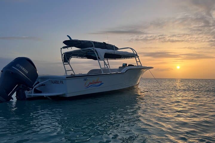 Island Hopping & Snorkeling from Fajardo: Private Sailing to Icacos and Palomino photo 6