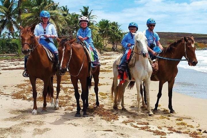 Gallop into Adventure: Horseback Riding at Macao Beach