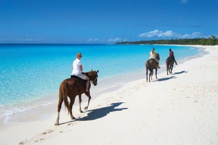 Gallop into Adventure: Horseback Riding at Macao Beach photo 3