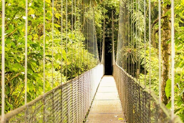 Mistico Arenal Hanging Bridges: Private Canopy Walk From Guanacaste