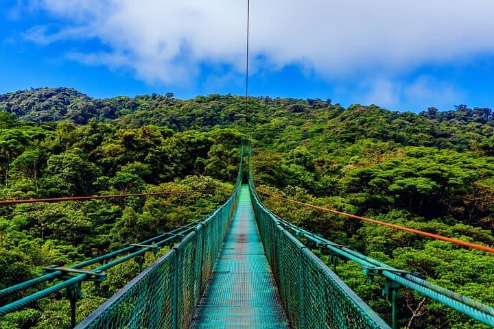 Mistico Arenal Hanging Bridges: Private Canopy Walk From Guanacaste photo 3