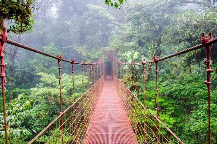 Mistico Arenal Hanging Bridges: Private Canopy Walk From Guanacaste photo 4